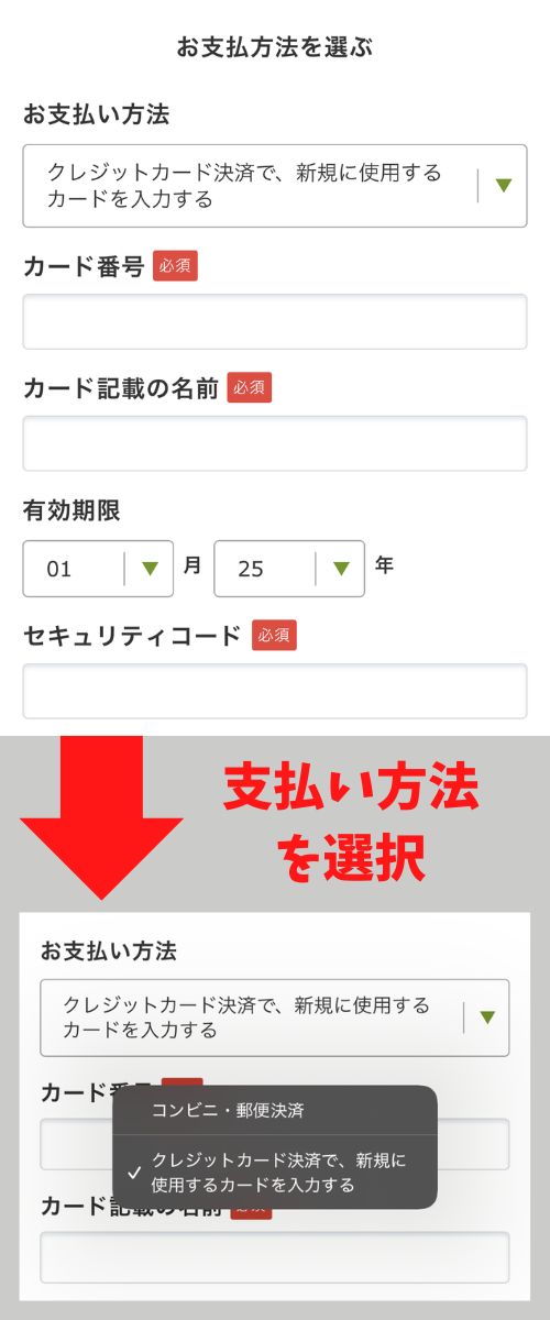 支払い方法を選択